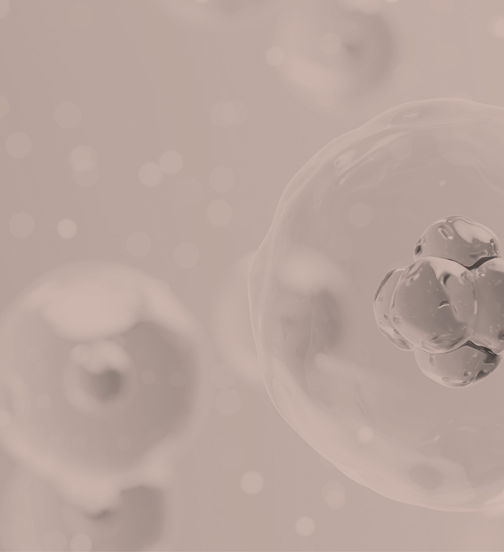 Mend Clinic MCT Meta-Cell