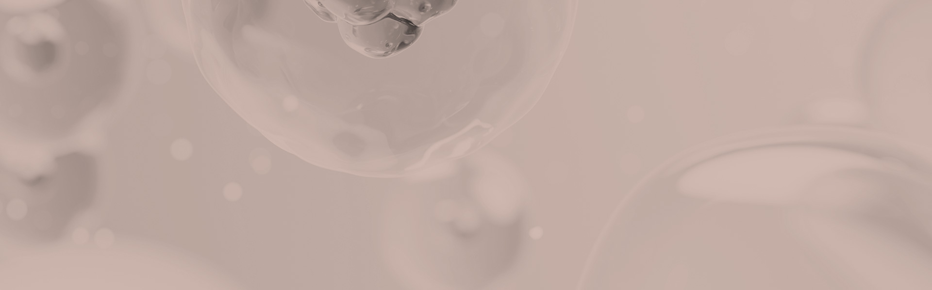 Mend Clinic MCT Meta-Cell